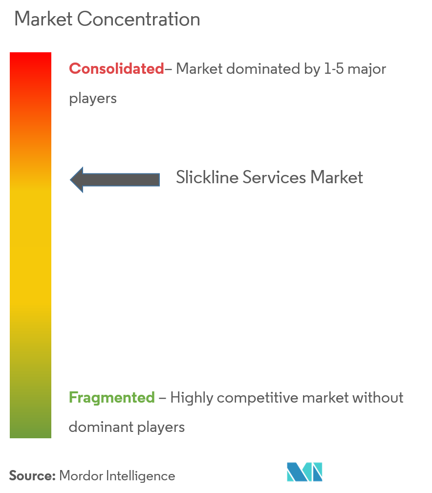 chlumberger Limited, Halliburton Company, China Oilfield Services, Weatherford PLC und Baker Hughes Company.